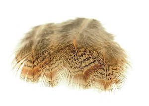 Hackles Feathers: Veniard English Partridge Feathers 1g
