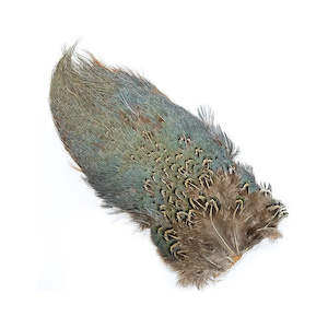 Hackles Feathers: Wapsi Ringneck Rump Patch