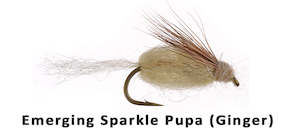 Wee Wet Flies: Emerging Sparkle Pupa (Ginger) #14