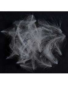 Soldarini CDC Small Wings 30PCS