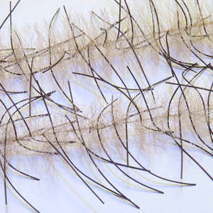 NEW Just Add H20 Lively Legs Crustacean Brush (Saltwater Fly Tying)