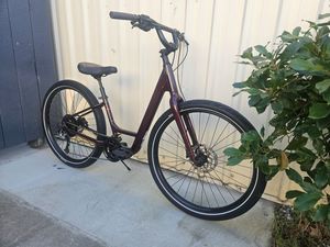Cycling: Burgundy Specialized Roll Elite Low Entry