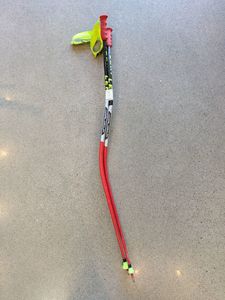 Red Leki Worldcup Racing GS, 130 cm