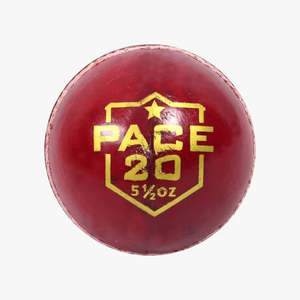 DSC Pace 20 Cricket Ball
