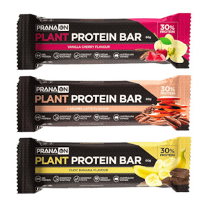 Pranaon: PranaOn Plant Protein Bars