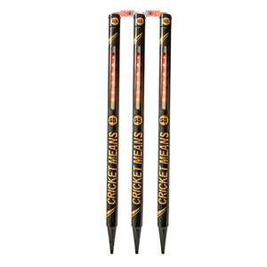 SS GLORY LED STUMPS AND BAILS SET