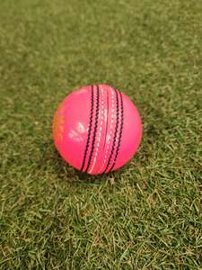 SHQ T-20  Leather Cricket Ball – 4 Piece – 156gm – Pink
