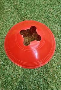 Training: CUT TOP SAUCER CONE - PACK OF 10