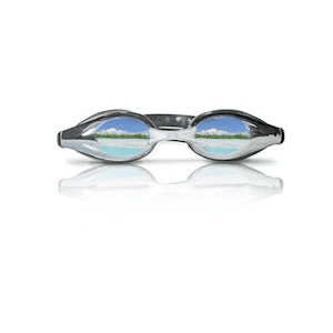 Sportswholesale Product: 420317     ~ GOGGLES MIRROR SIL.