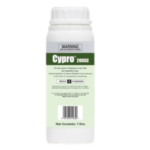 Fungicides: Cypro Alto Fungicide 1L for rust control