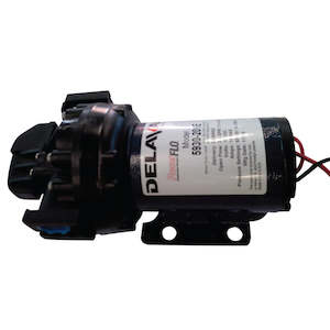 Pumps: SS Delavan 12V Pump QC 11.2L 60psi