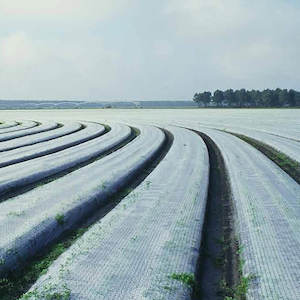 Other 1: Frost cloth 2.1M x 100M roll 35gsm