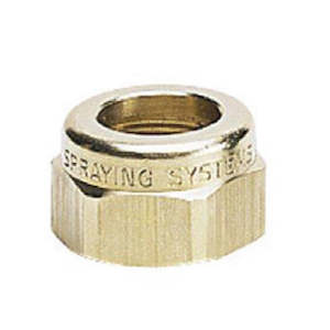 Capnut Hex Braglia 3/8"BSPF