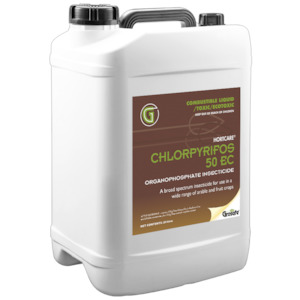 Avocado Insecticides: Chlorpyrifos Lorsban Insecticide 20L