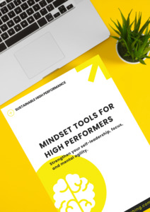Mindset Tools for High Performers