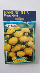 Ranunculus Fiesta Gold - Springvale Garden Centre