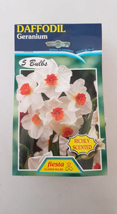 Products: Daffodil Geranium 5s - Springvale Garden Centre