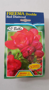 Freesia Double Red Diamond - Springvale Garden Centre