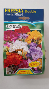 Products: Freesia Double Mixed 20s - Springvale Garden Centre