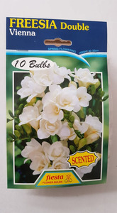 Products: Freesia Double Vienna - Springvale Garden Centre