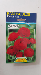 Products: Ranunculus Fiesta Red - Springvale Garden Centre