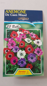 Products: Anemone De Caen Mix 25s - Springvale Garden Centre