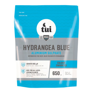 Products: Tui 650g Hydrangea Blue - Springvale Garden Centre