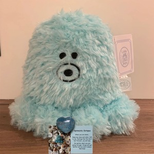 Products: Optimistic Octopus Weighted Plush Toy and Positivity Crystal Bundle - Squoodles