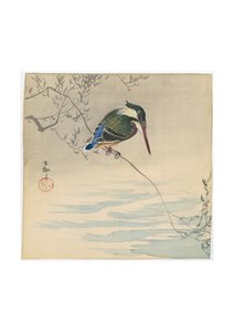 Stacey Gillies Interiors, Interior Designer Auckland. - Kingfisher A3 print