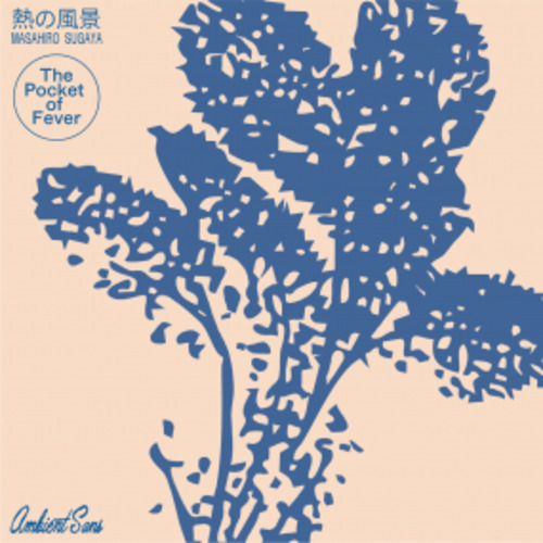 THE POCKET OF FEVER - MASAHIRO SUGAYA Stack Records