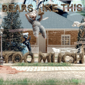 Bears Like This Too Much - Spillage Village Stack Records