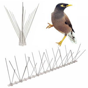 Anti-Indian Myna Spikes Indian Myna Deterrent Spike Strips Indian Myna Repellent Spikes