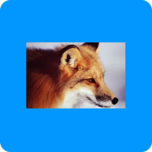 Photo Plate 10cm x 15cm