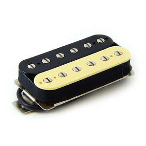 Pickups: High output humbucker bridge pickup