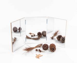 Products: 3 Way Mirror Large - Starex