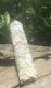 White Sage Smudge Stick - Large