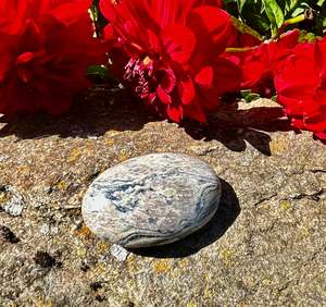 Tumbled: Zebra Jasper Palm Stone
