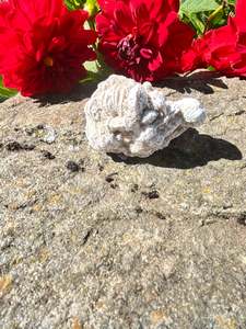 Towers: Desert Rose
