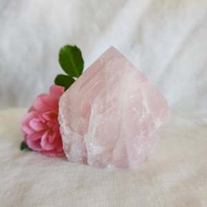 Towers: Rose Quartz | Polished Point B