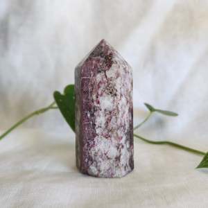 Towers 1: Rubellite | Tower B