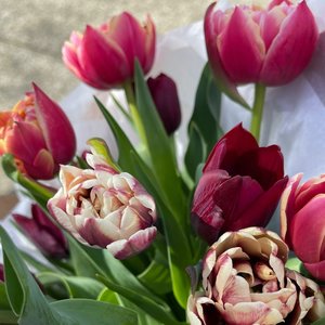 4 Week Tulip Subscription Farm Pickup - State of Bloom