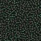 Size 8 Seed Bead, Silver Lined Dark Emerald (10gms)