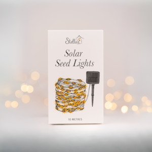 10m Silver Cool White Solar Seed Lights