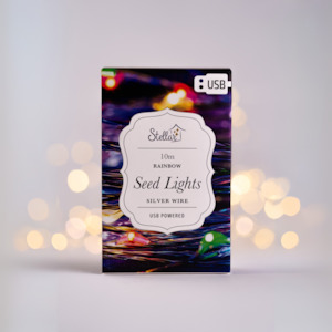 10m Silver Rainbow Light String USB