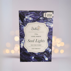 10m Silver Cool White Light String USB