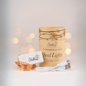 Charge & Go. Rechargeable Copper Wire Seed Lights