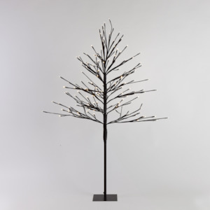 Brown Twig Tree