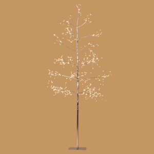 Silver Arctic Birch Tree