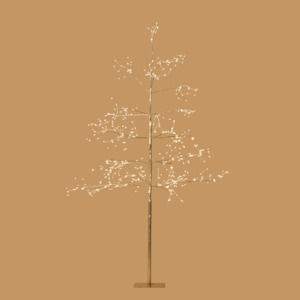 Champagne Arctic Birch Tree