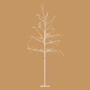 White Arctic Birch Tree